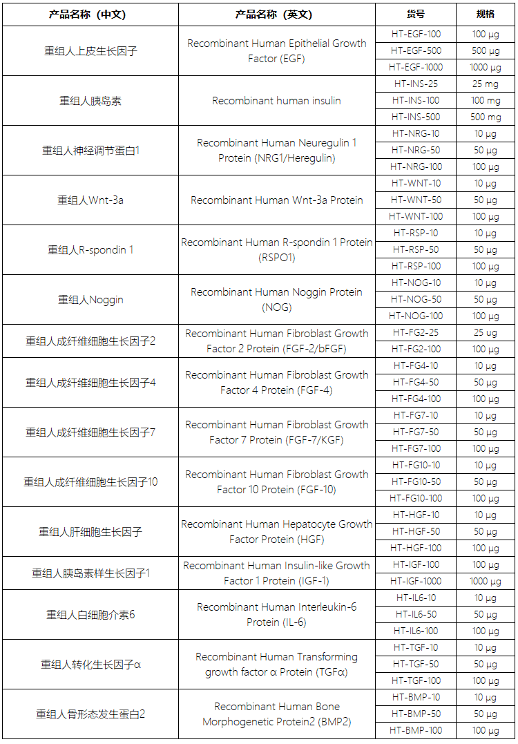 类器官相关生长因子