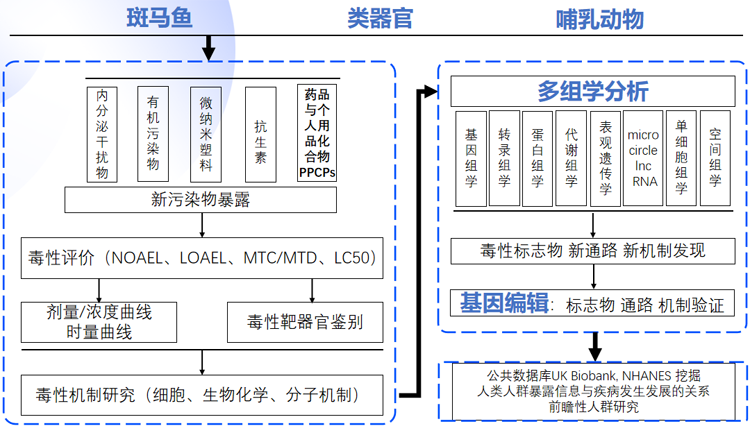 多维生物技术用于新型污染物毒性与机制研究