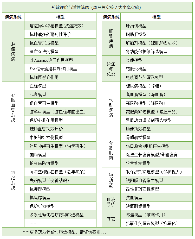 药物评价模型实验