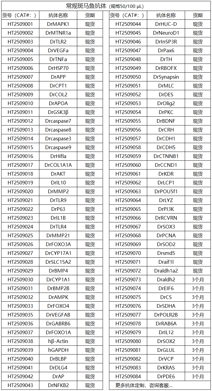 常规斑马鱼抗体售卖
