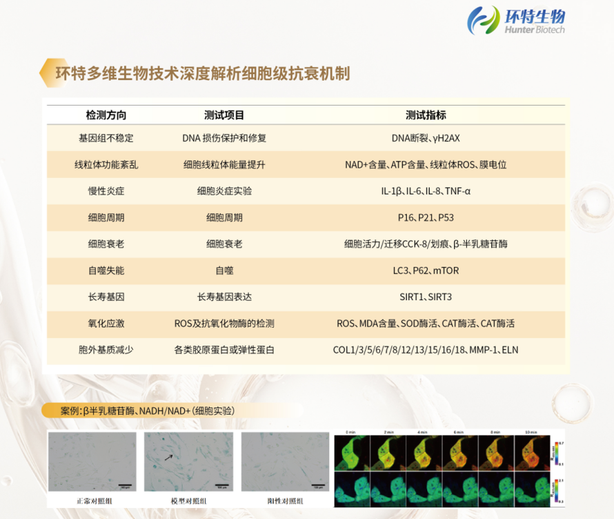 1773276735138462.png 640.png