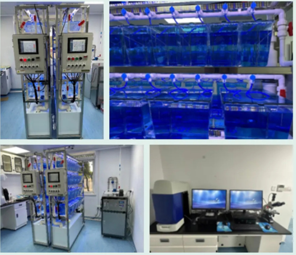 1775809606102360.png image.png