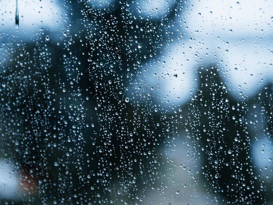 科学祛湿的下半场，答案或许藏在“肠道菌群”中